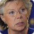 viviane reding, heidelberg, démocratisation UE